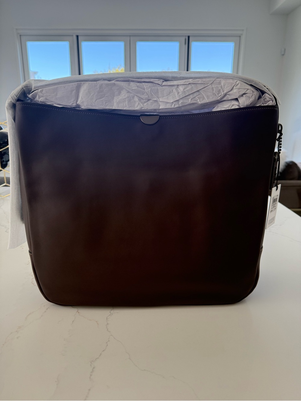Coach Women's Shoulder Bag in Dark Brown Leather